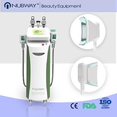 Τιμή εργοστασίων!!! Νέα Cryolipolysis RF μηχανή αδυνατίσματος δημιουργίας κοιλότητας κενή